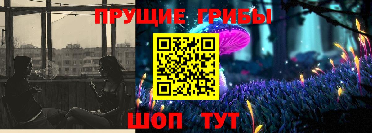 Псилоцибиновые грибы Psilocybine cubensis Нововоронеж