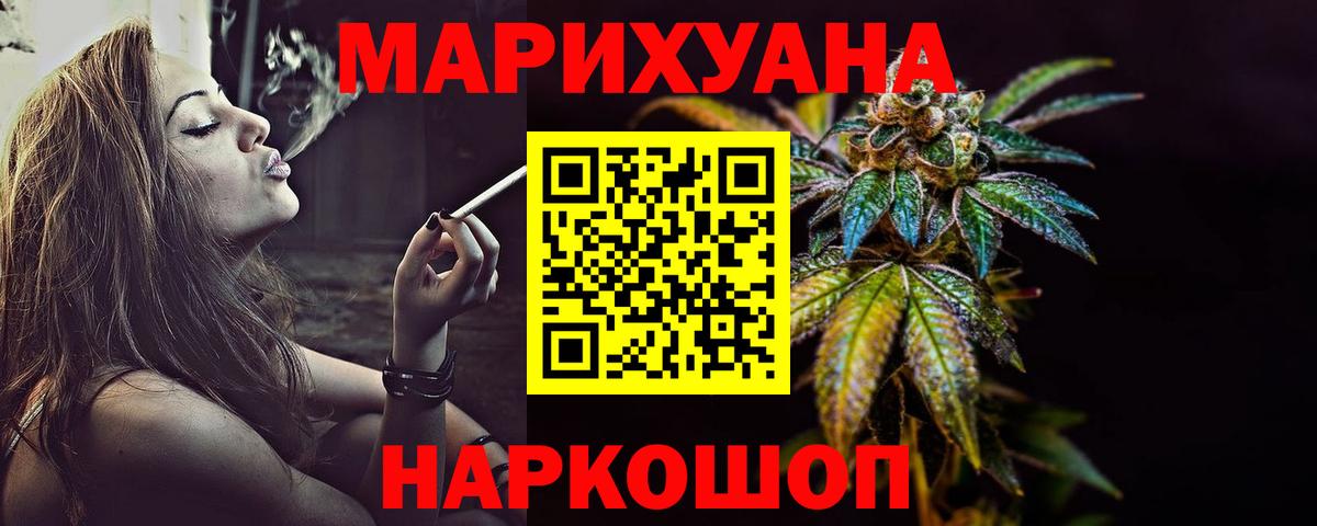 Конопля сатива Нововоронеж